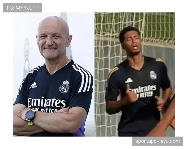 安切洛蒂中场构建