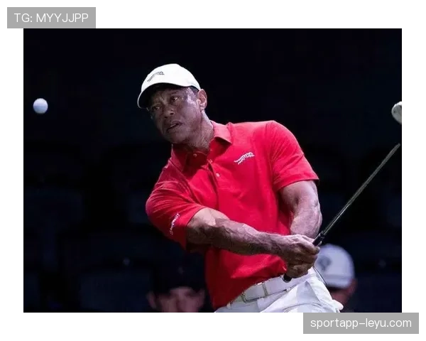 泰格·伍兹居然还能玩出花样，看看他家那豪宅简直比比赛场地还刺激